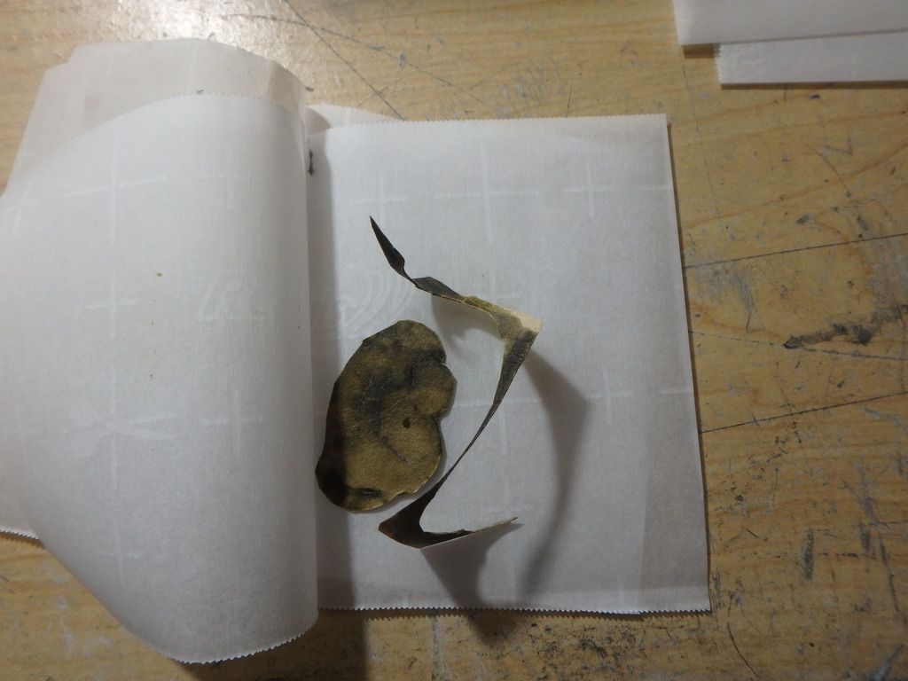 Coffee Filters with Hash r/rosin